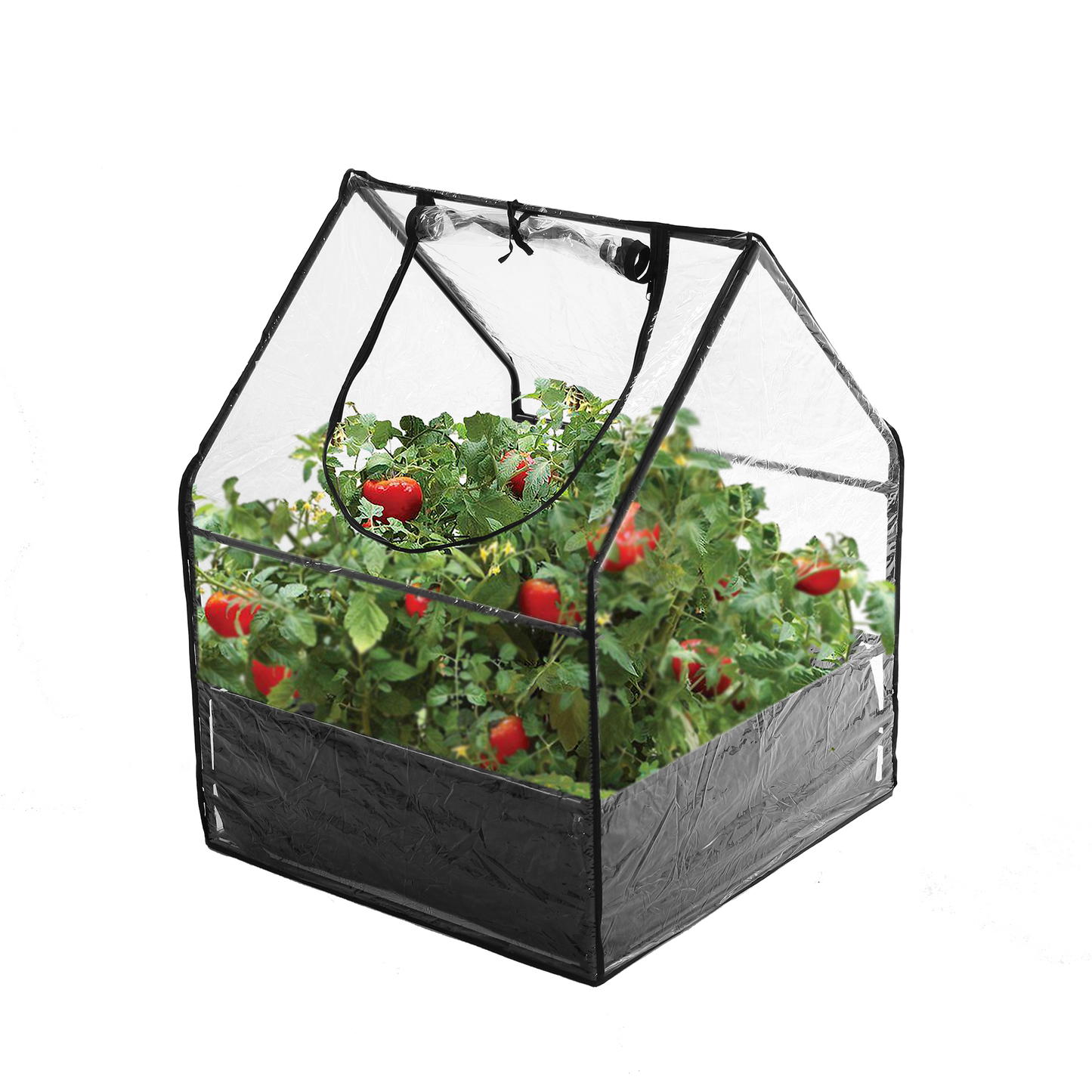 Minikasvihuone 65 cm HORTUS