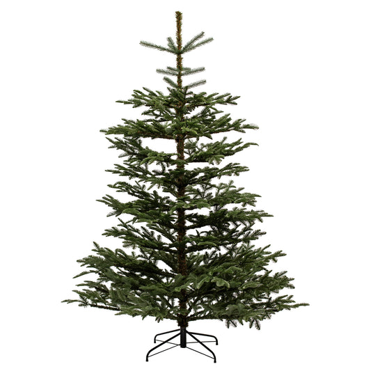Joulukuusi PE "DANISH COLLECTION" 200 x 158 cm NORDIC WINTER