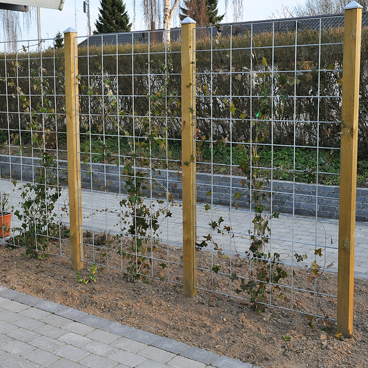 5 kpl erä, Espalier, metalliverkkopaneeli, galvanoitu, 180 x 90 cm, pakkauksessa mukana kiinnikkeet